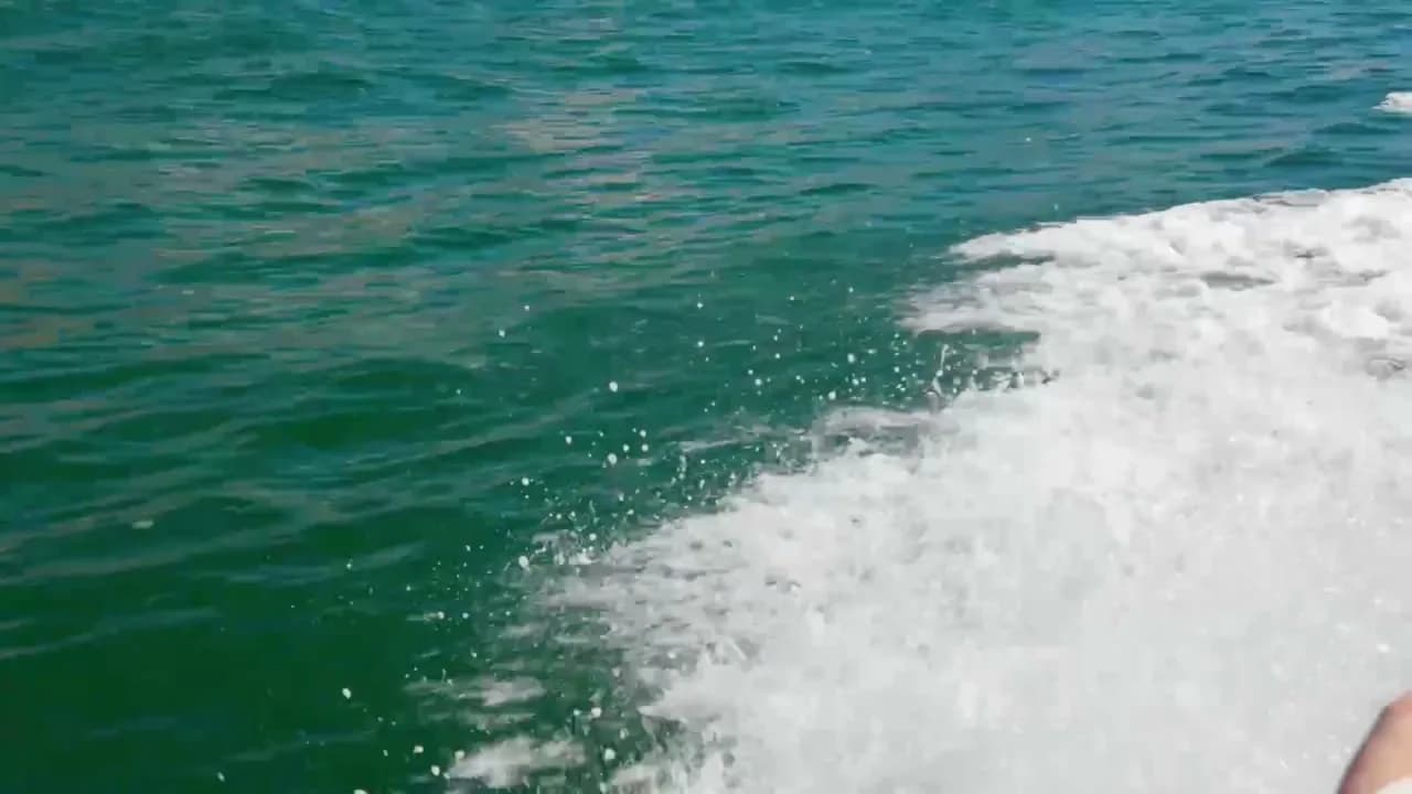 Trident Boat Tours