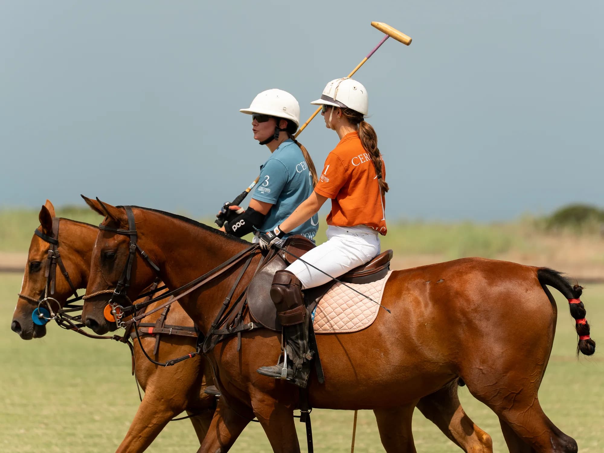 Basset&Hound Polo CUP