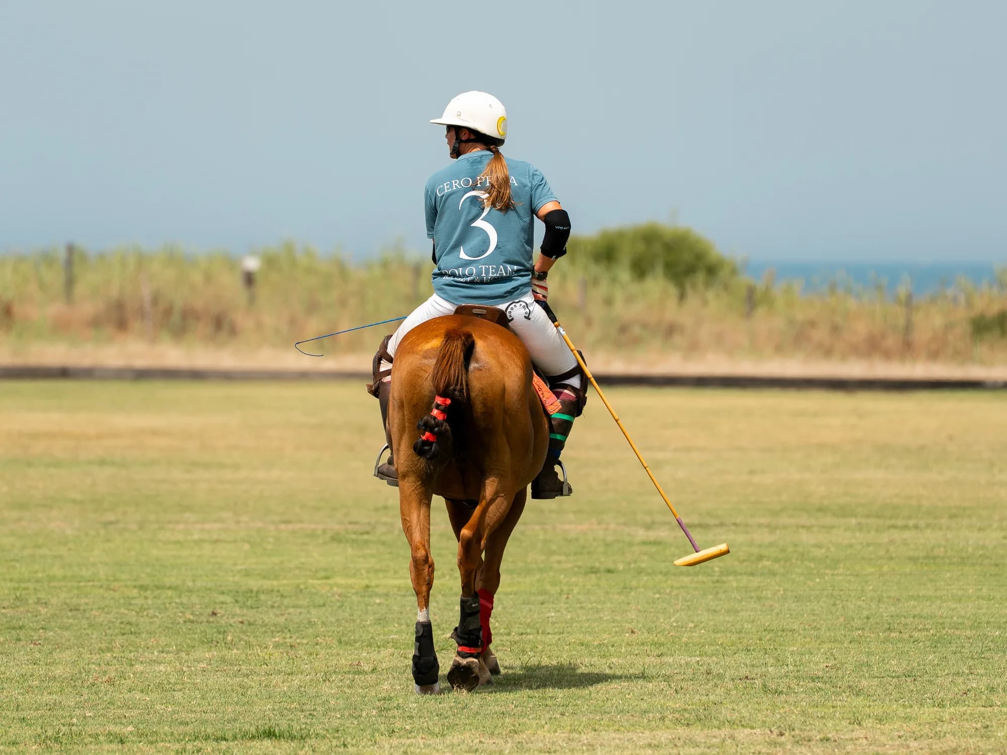 Basset&Hound Polo CUP — 11