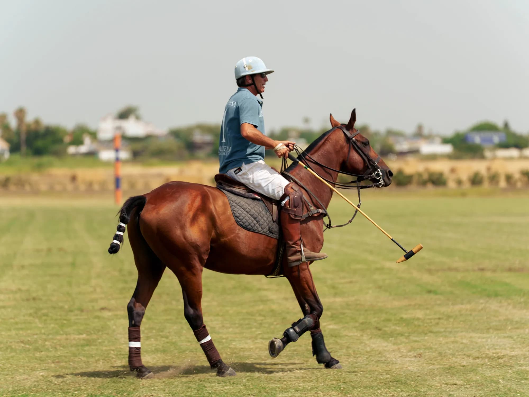 Basset&Hound Polo CUP — 13