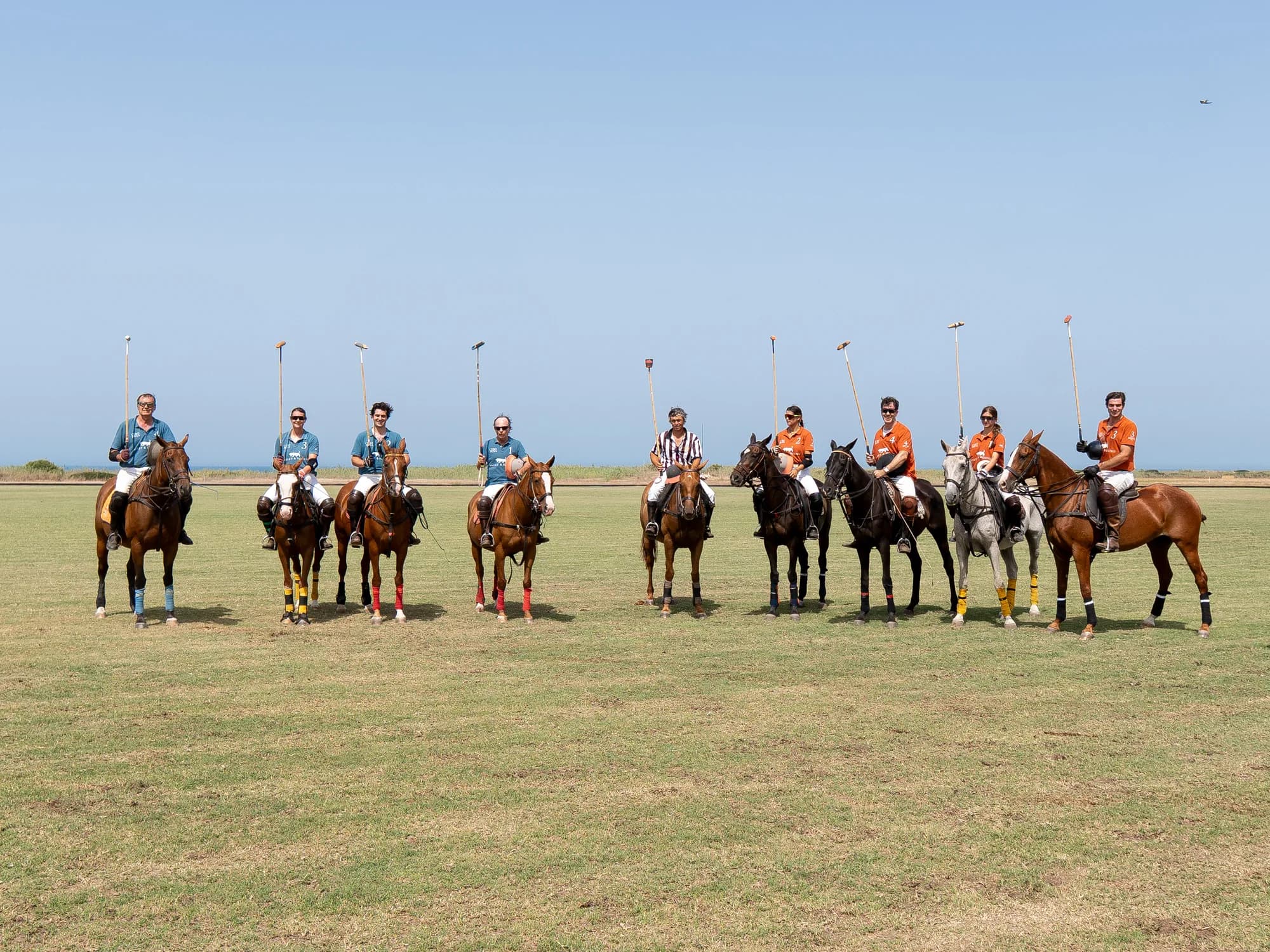 Basset&Hound Polo CUP — 14