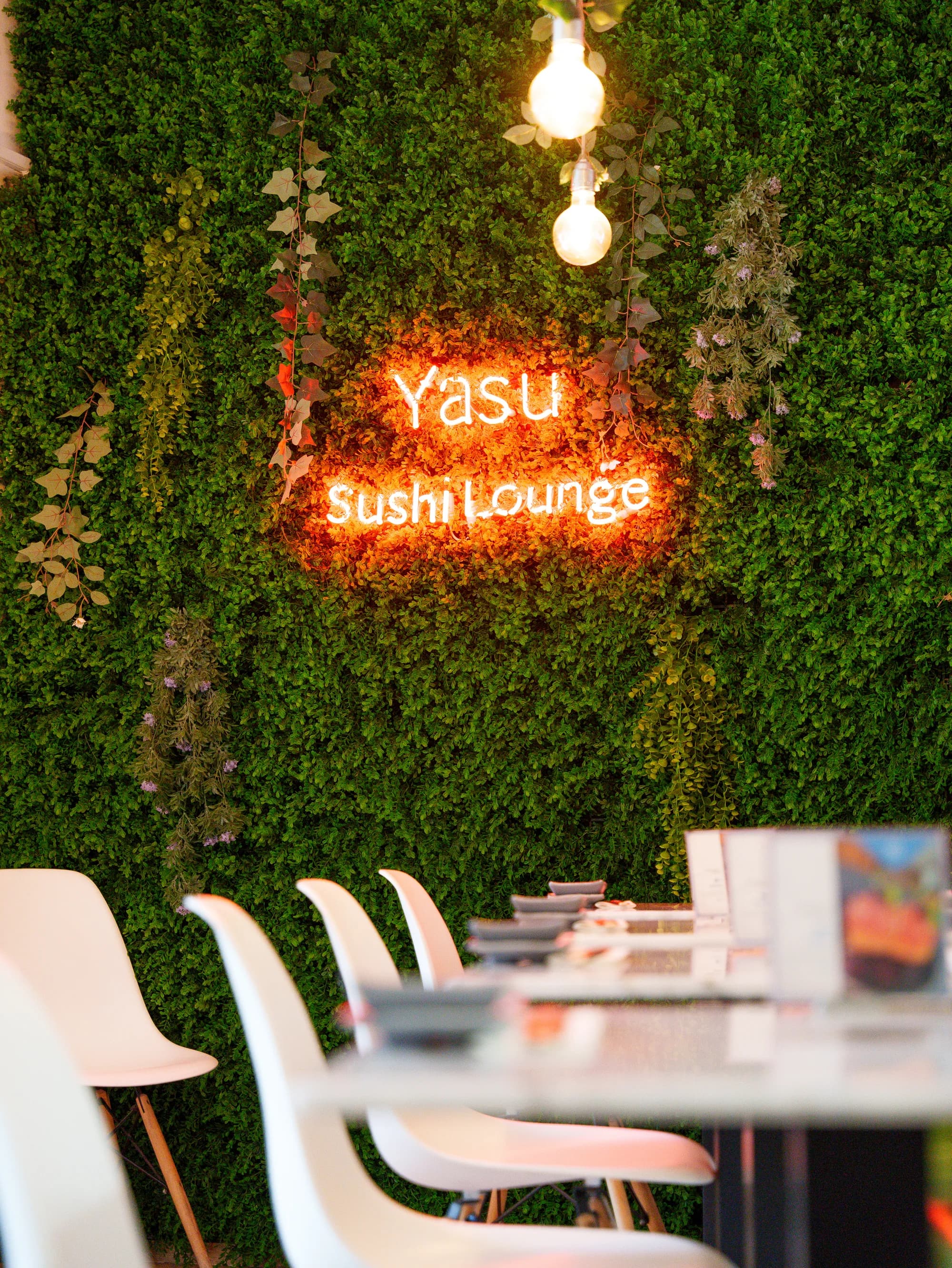 Yasu — 5